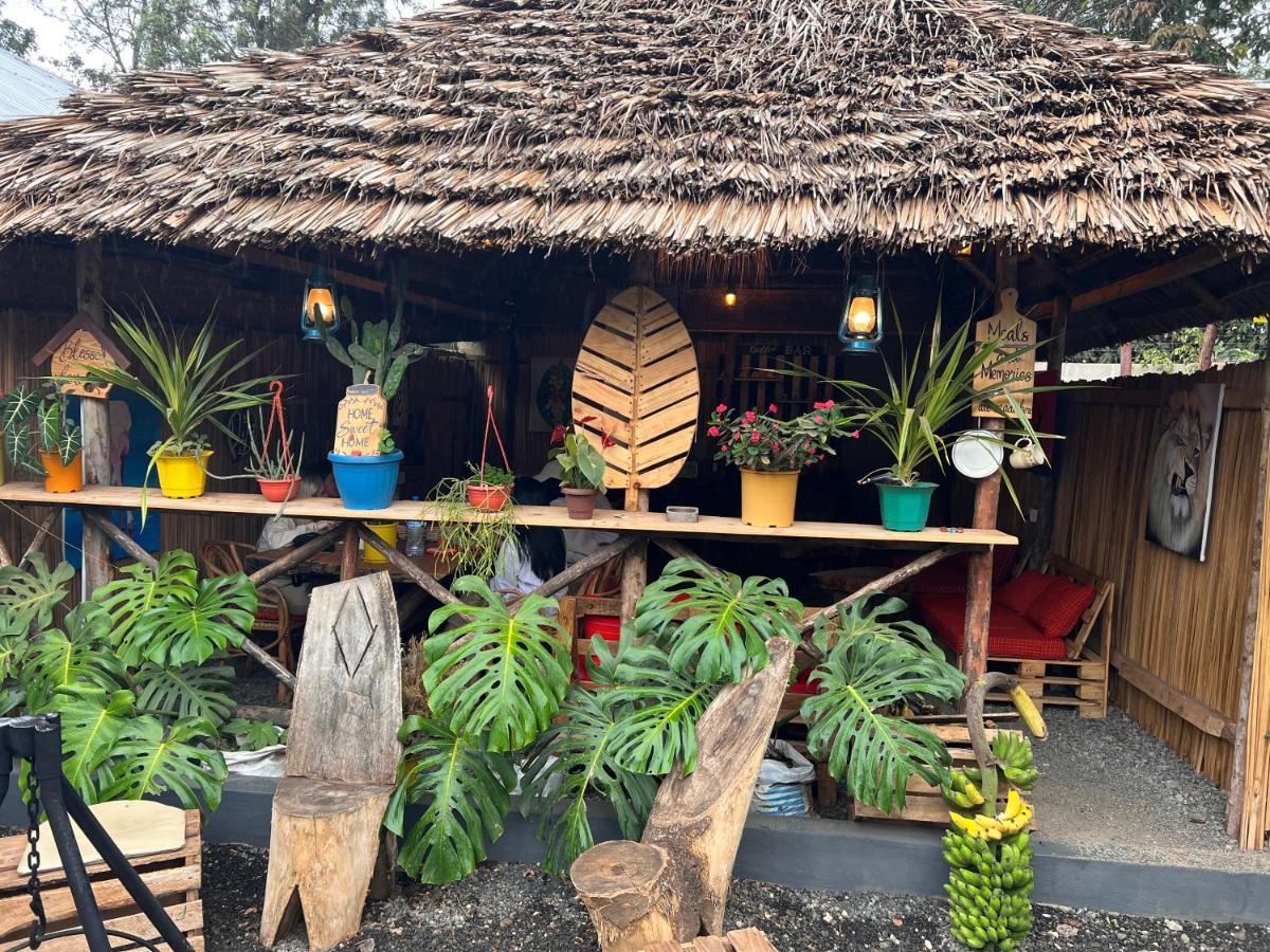 Serengeti Hostel